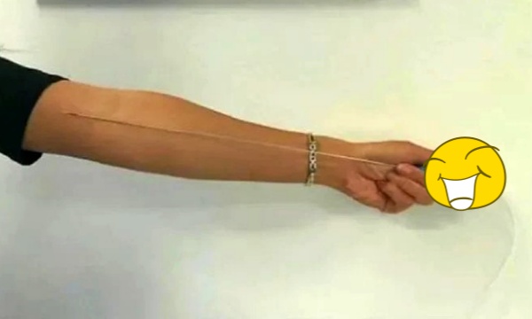 Nếu chưa biết chiếc k.im dài 30cm này là gì thì xin chúc mừng bạn