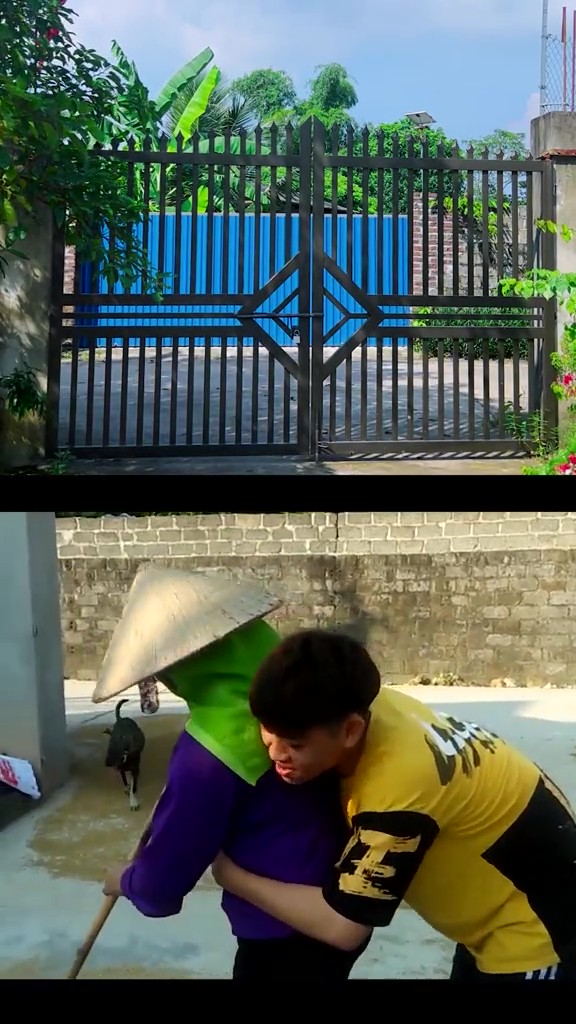 Hình ảnh