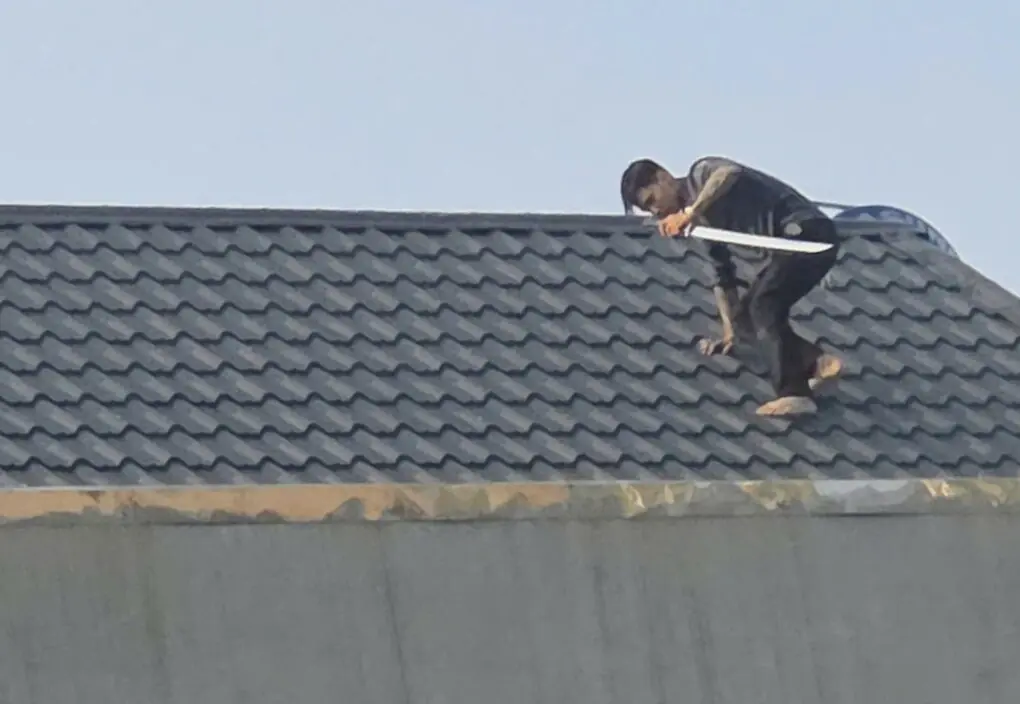 Một trong hai nghi phạm tay cầm kiếm, liên tục đi lại trên mái nhà khi bị cảnh sát vây ráp. Ảnh: Lam Sơn