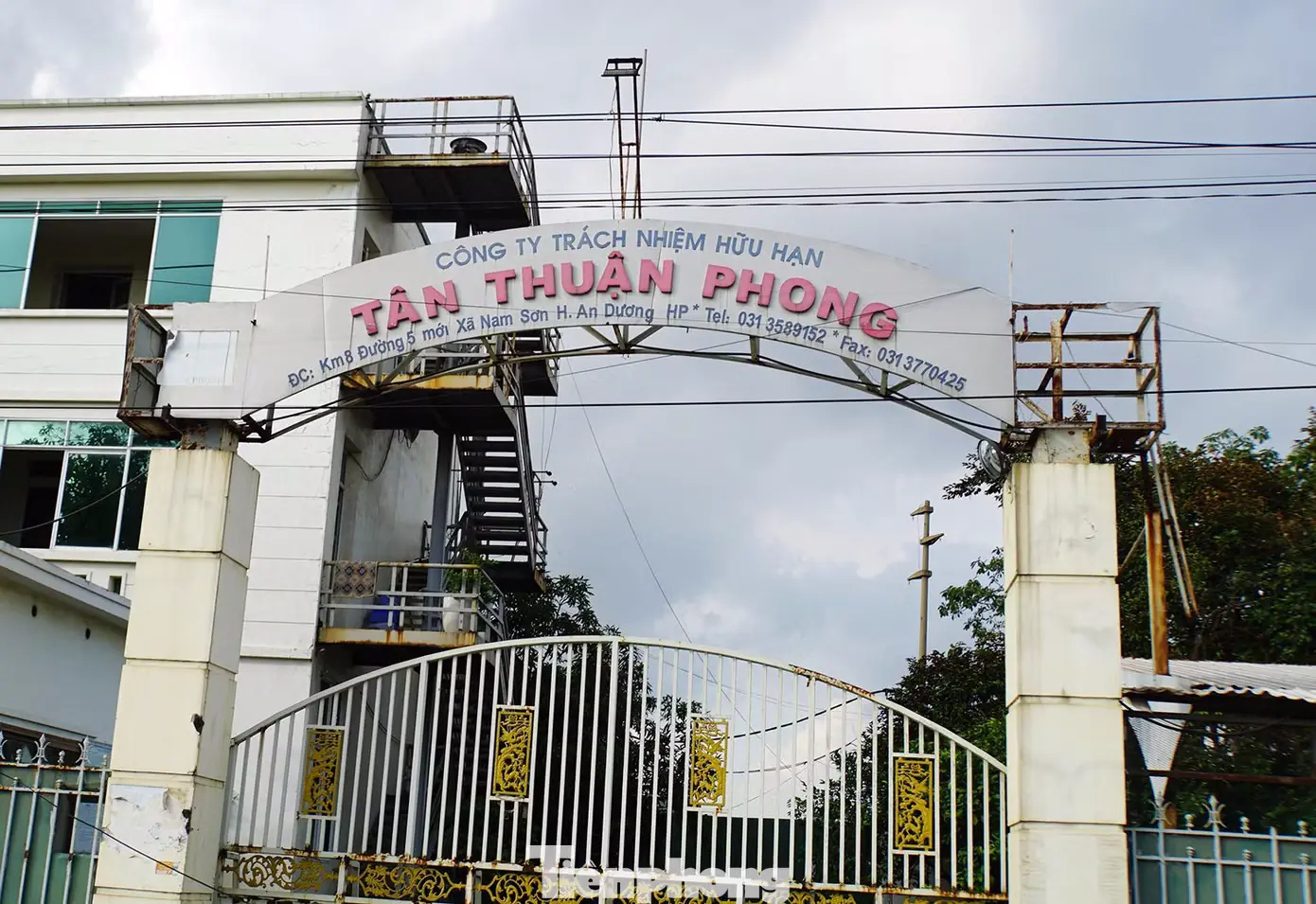 tp-tan-thuan-phong7.jpg