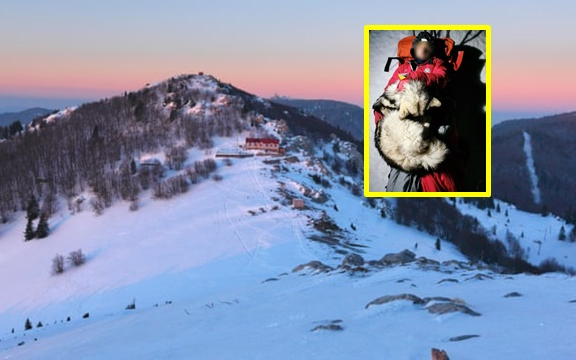 Cảm động chú chó giữ ấm cho chủ nhân bị thương trên núi tuyết suốt 13 tiếng