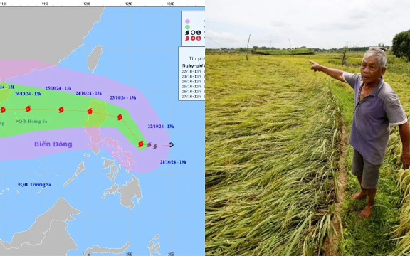 Yagi vừa qua, Trami lại đến: Bão trước xóa sổ 49.000 tấn lúa, bão sau đe dọa vùng đất gần 4 triệu người