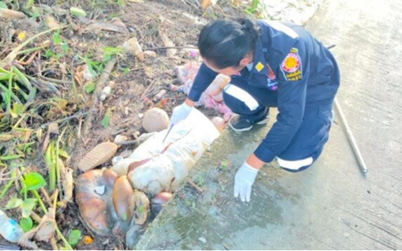 Phát hiện 2 bao tải căng phồng có mùi hôi trôi trên sông, cảnh sát vớt lên mở ra thì bàng hoàng với thứ bên trong