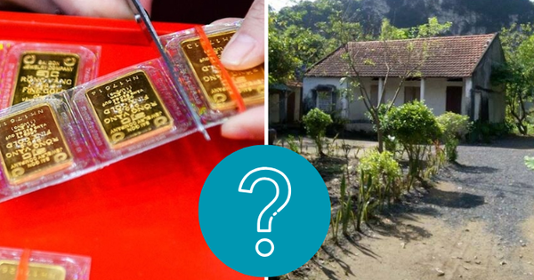 Có 500 triệu mua vàng hay mua đất ở tỉnh lẻ? ChatGPT đưa đáp án 