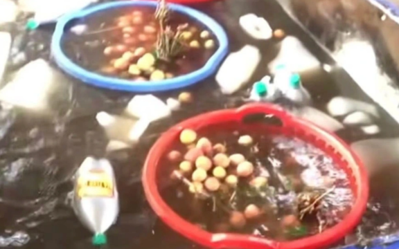 Sự thật đằng sau video "ngâm vải trong thuốc" gây hoang mang