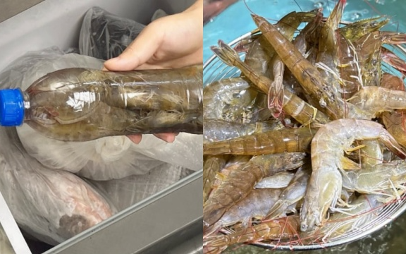 3 mẹo bảo quản tôm tươi lâu, để cả năm vẫn chắc và ngọt thịt
