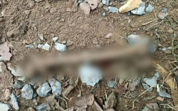 Phát hiện bộ xương người trong ngôi nhà mới mua: Nhân chứng ớn lạnh với hiện trường