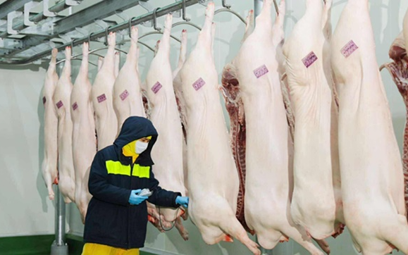 Nóng: C.P. Việt Nam công bố kết quả giải quyết của công an liên quan tố cáo thịt heo