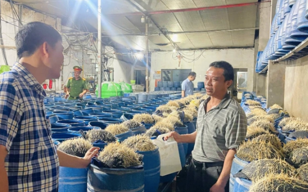 Danh tính cặp vợ chồng dùng hóa chất độc hại sản xuất hàng trăm tấn giá đỗ