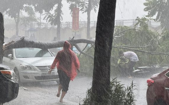 Cây đổ đè trúng người lái xe máy trong cơn mưa dông ở Hà Nội