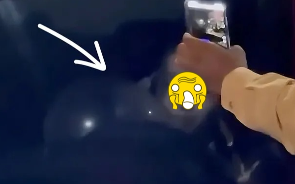 Nữ ca sĩ không có giấy phép lái xe, hít bóng cười trước mặt CSGT