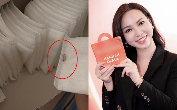 Toàn cảnh vụ bông tẩy trang có dòi mua trên livestream Hannah Olala Toàn cảnh vụ bông tẩy trang có dòi mua trên livestream Hannah Olala