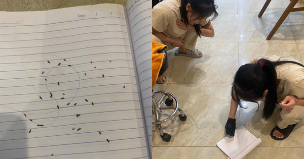 Sốc: 60 con chấy bò ra từ mái tóc của "girl phố" 2k4, tiệm gội đầu phải tổng vệ sinh sau khi tiễn khách