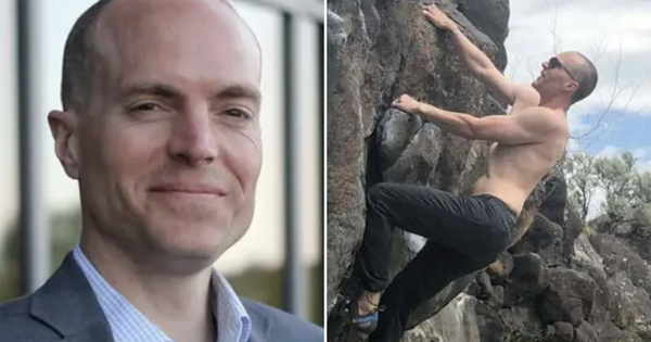 Hai cha con Hiệu trưởng Trường Quốc tế QSI Hải Phòng tử vong sau khi bị hàng trăm ong bắp cày tấn công