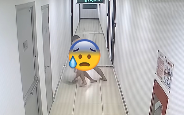 Hà Nội: Chồng đánh vợ thủng màng nhĩ, chấn động não ngay trước mắt hàng xóm