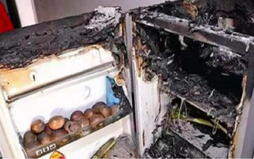 Vệ sinh tủ lạnh, cặp vợ chồng người TV, người bị thương nặng