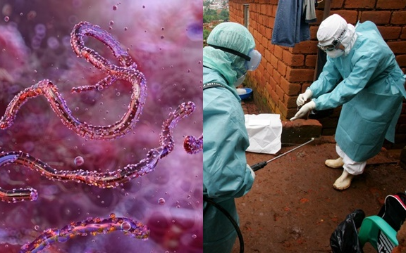 Loài virus gây tỷ lệ mất mạng đến 80% lại bùng phát