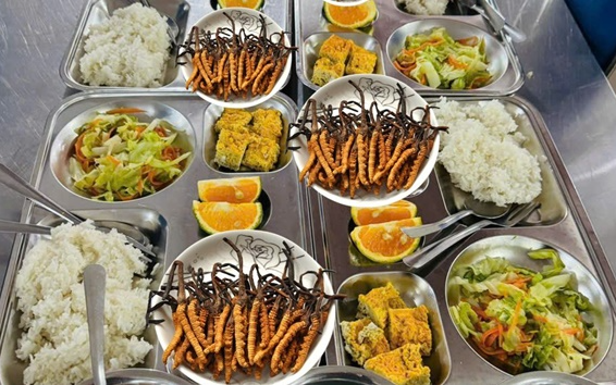 Xuất hiện bữa ăn toàn đông trùng hạ thảo xa xỉ gây sốt ở 1 trường học Hà Nội: Thực hư ra sao?