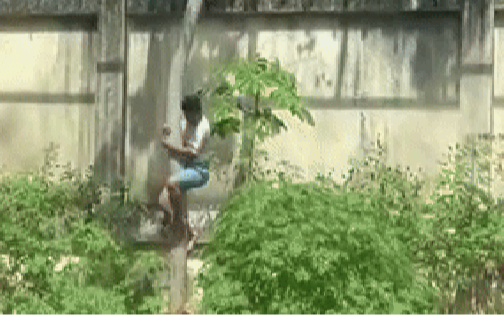 Thanh niên trèo vào chuồng sư tử, đám đông căng thẳng dõi theo: Hình ảnh cuối cùng quá xót xa