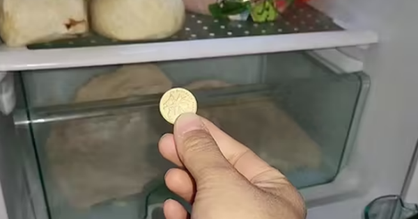 Người thông minh bỏ 1 đồng xu vào tủ lạnh trước khi vắng nhà dài ngày: Lý do nghe xong ai cũng phải gật gù đồng ý