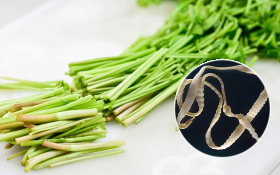 2 loại rau “khoái khẩu” mùa lạnh dễ thành ổ sán, đứng đầu bảng ngoài chợ bán đầy