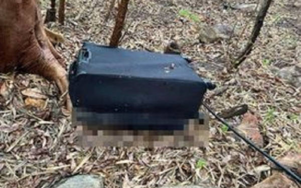 Vụ thi thể cô gái trong vali trên núi Nhỏ: Tội ác của 2 gã trai trẻ tại căn phòng 303