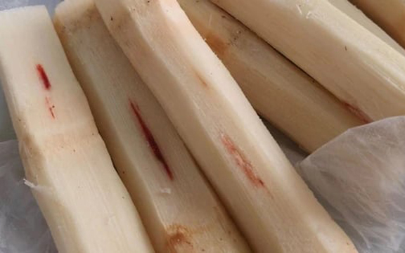 Bao lâu nay cứ tưởng vô h:ại: Ăn mía có vệt đỏ trên thân, nhiều người n:ôn m:ửa, c:o gi:ật vì nguyên do không tưởng