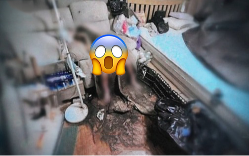 Rúng động Hàn Quốc: Chồng quân nhân bỏ mặc vợ nguy kịch suốt nhiều ngày, thi thể được phát hiện trong tình trạng ám ảnh