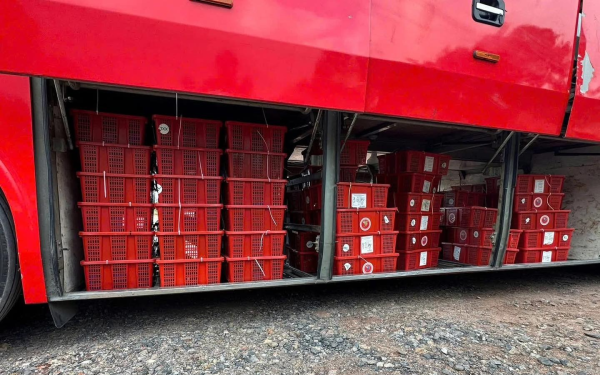 Phát hiện xe khách chở gần 1 tấn rắn hổ mang