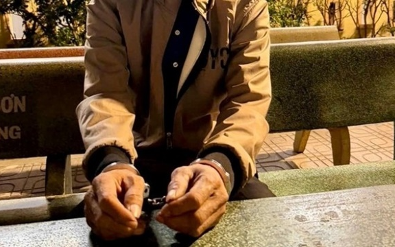 Nguyễn Ngọc Lan bị bắt