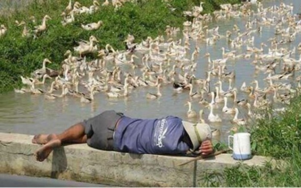 "Vết trượt dài" đầy xót xa: Ông lão bán vé số trúng 2,7 tỷ, tưởng đổi đời rồi lại trắng tay vì lý do này