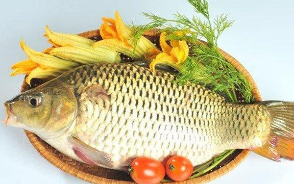 Ngày càng có nhiều người chết vì ung thư? Bác sĩ nhắc: Thà nhịn đói còn hơn ham ăn 4 loại cá này