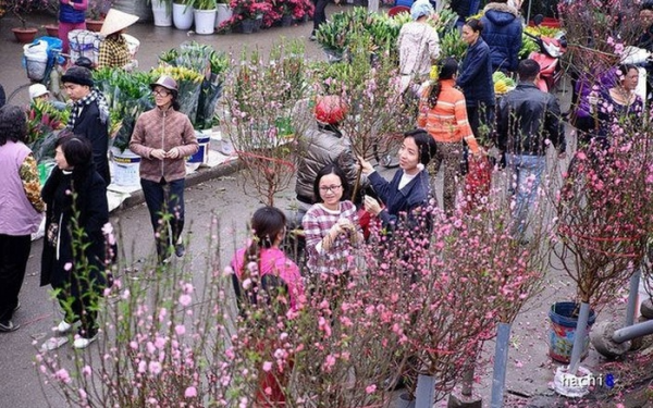 Lịch nghỉ Tết âm lịch Bính Ngọ 2026