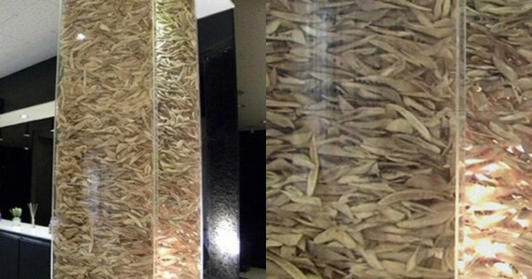 Bức ảnh khiến nhiều người sởn gai ốc tại 1 phòng khám phẫu thuật thẩm mỹ khu Gangnam Hàn Quốc