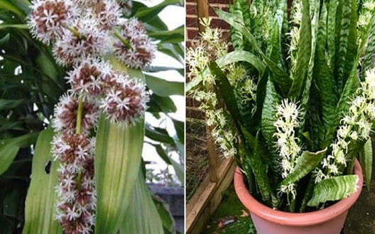 Tổ Tiên dặn kỹ: 