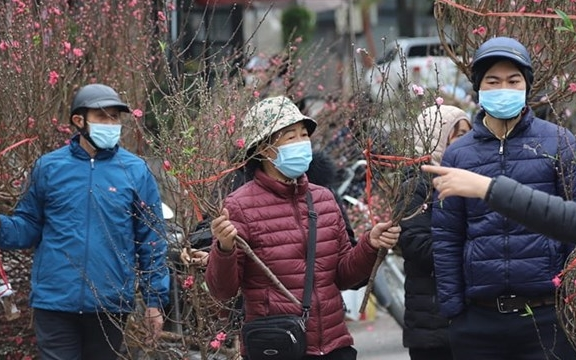 Thời tiết dịp Tết Nguyên đán Bính Ngọ 2026 mới nhất: Liệu có rét đậm, rét hại như các năm trước đây?