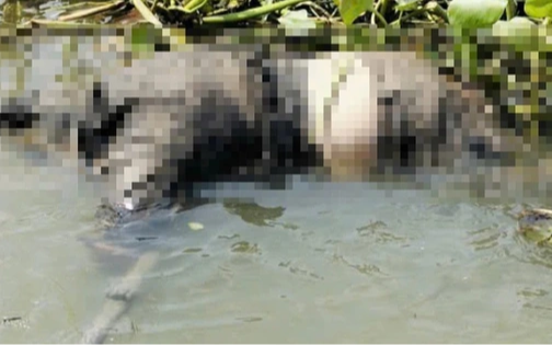 Nam thanh niên ở TP.HCM mất liên lạc sau cuộc gọi với bố: Cảnh tượng bên bờ sông khiến người dân bàng hoàng