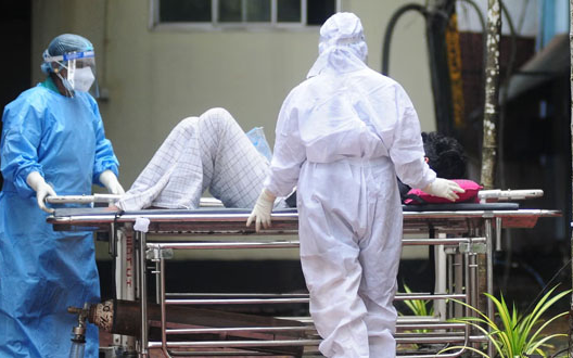 Nguy cơ bùng phát dịch bệnh mới từ 1 loại virus lây từ dơi sang người, chưa có vaccine hoặc bất kỳ phương pháp điều trị nào