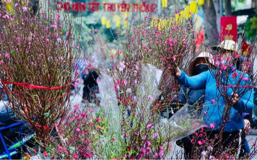 Thời tiết dịp Tết Nguyên đán Bính Ngọ 2026 mới nhất: Xuất hiện yếu tố gây bất lợi cho các kế hoạch ngày Tết