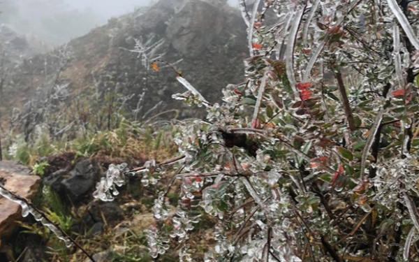 Dự báo thời tiết 26/1: Miền Bắc duy trì rét đậm, cuối tháng 1 thêm đợt không khí lạnh dồn dập tràn về