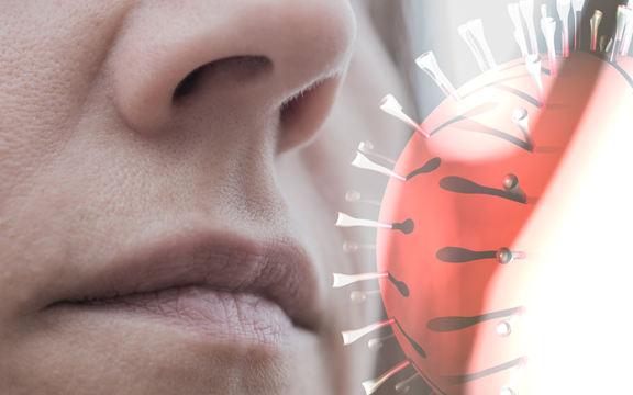 Infographic: Người nhiễm virus Nipah có triệu chứng ban đầu như thế nào?