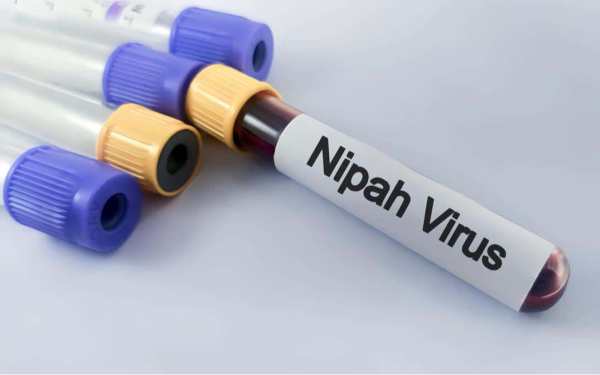 Nhiều sân bay lớn giám sát y tế như thời COVID-19 để ứng phó dịch virus Nipah