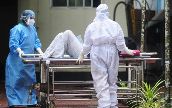 Mật chà là nghi chứa nguồn lây virus Nipah cho hai điều dưỡng