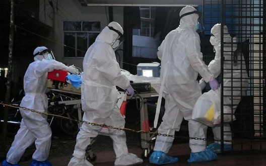 Nóng: Trung tâm Kiểm soát bệnh tật TP.HCM thông báo về virus Nipah