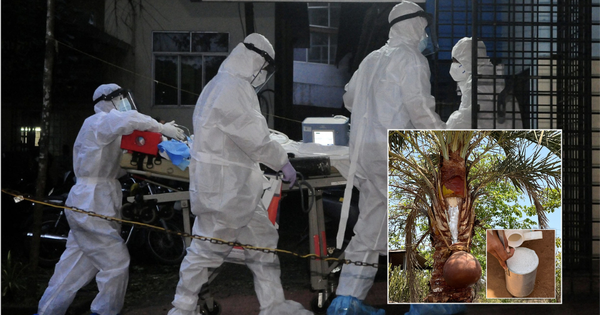 Một thức uống phổ biến trong đám cưới bị nghi là nguồn lây virus Nipah trong ca nhiễm đầu tiên tại Ấn Độ