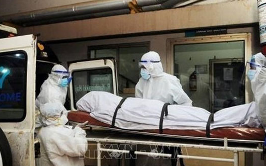 Hà Nội chỉ đạo khẩn, kích hoạt phương án phòng, chống bệnh do virus Nipah