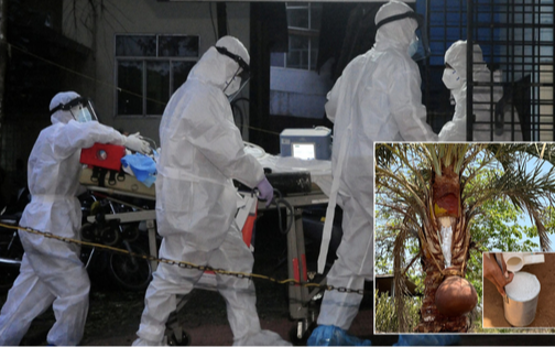 Một thức uống phổ biến trong đám cưới bị nghi là nguồn lây virus Nipah trong ca nhiễm đầu tiên tại Ấn Độ