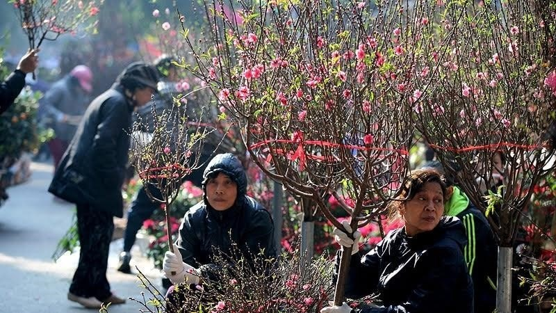 Dự báo mới nhất xu thế thời tiết Tết Nguyên đán Bính Ngọ 2026