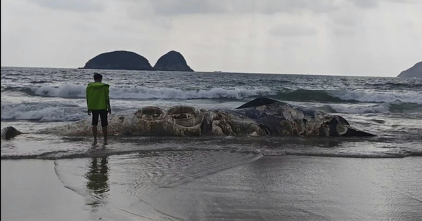 Vật thể lạ dài 11m dạt vào bãi biển nổi tiếng khiến nhiều người kinh hãi, cơ quan chức năng vào cuộc điều tra