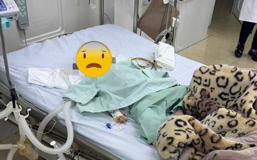 Bé gái 6 tuổi bị sốt suốt 17 ngày sau khi dọn nhà, kết quả kiểm tra khiến bác sĩ sốc